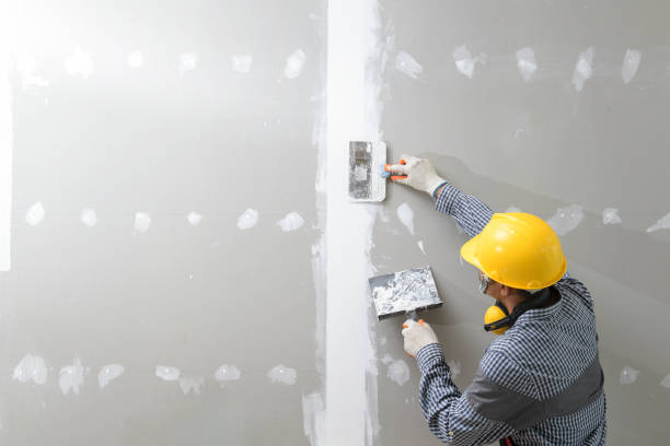 Best Mold Removal for HVAC Installations  in USA